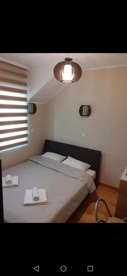 Vila Dukic Zlatibor Apartment ภายนอก รูปภาพ